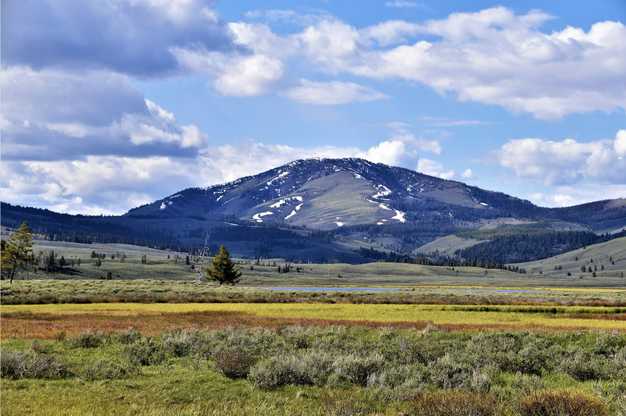 montana