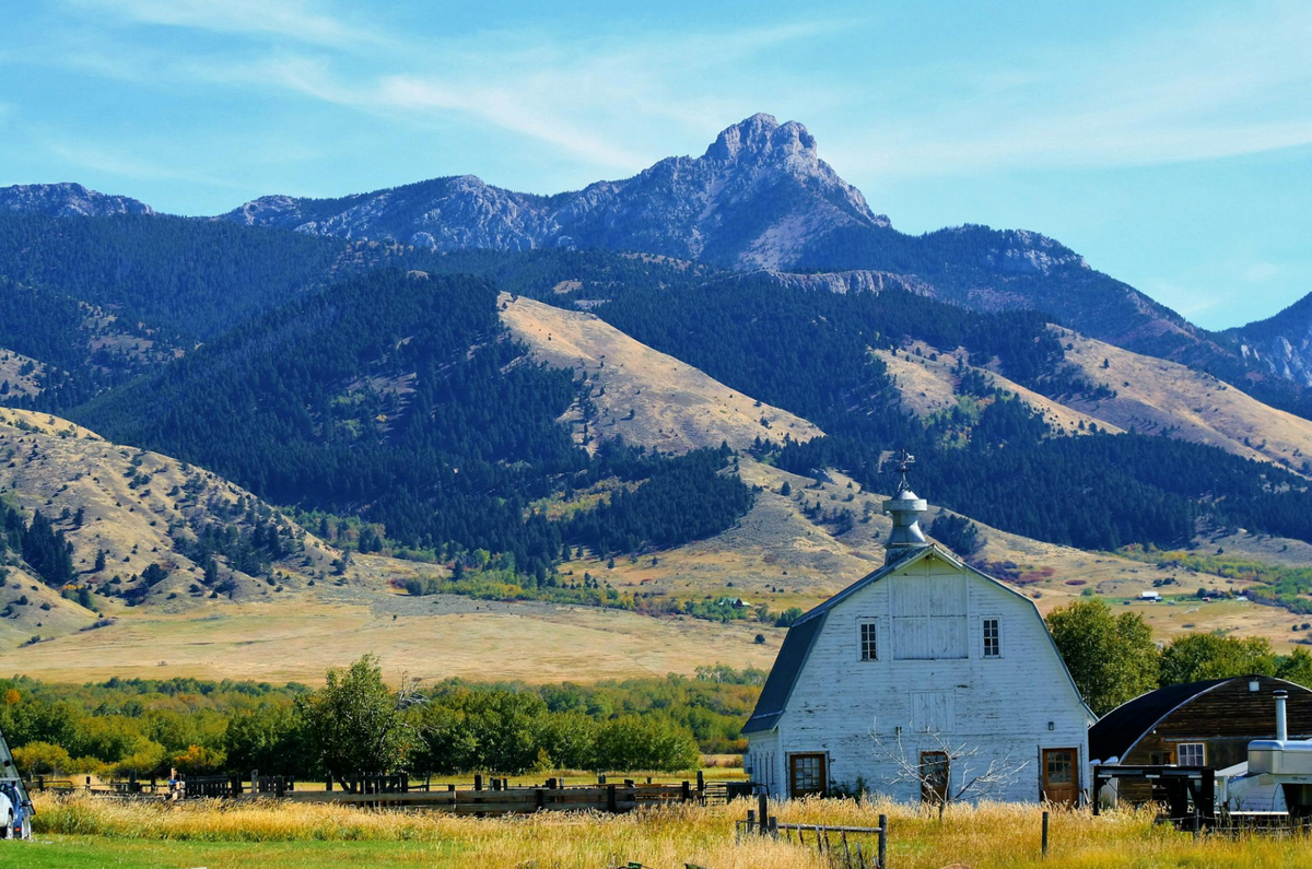 montana-ban
